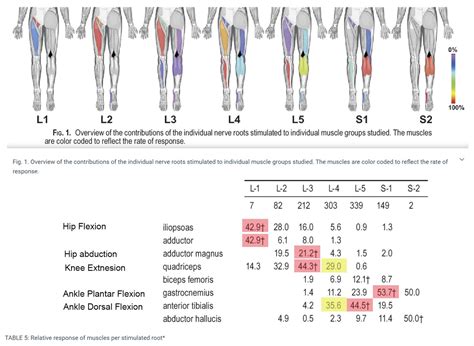 orthobullets spine test results